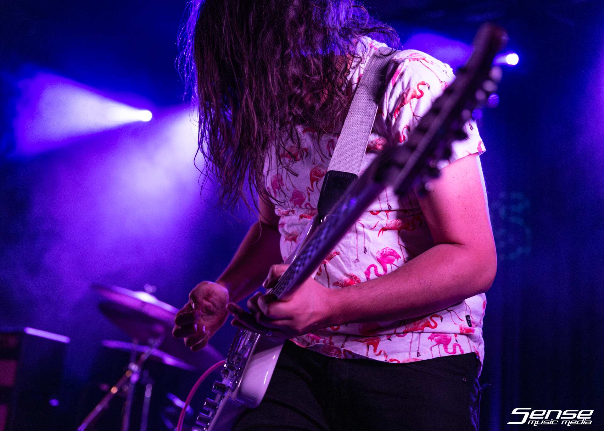 SEIMS - The Vanguard-1.png