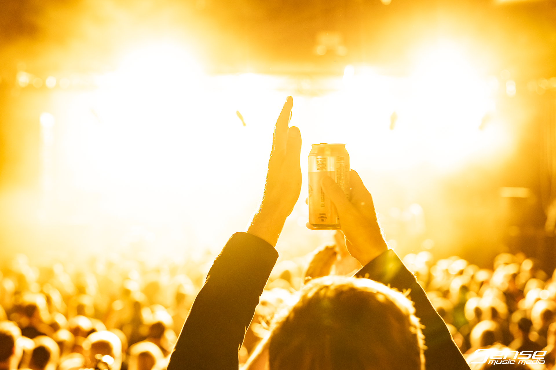 DEAFHEAVEN - Metro Theatre 2023-Web-6.png