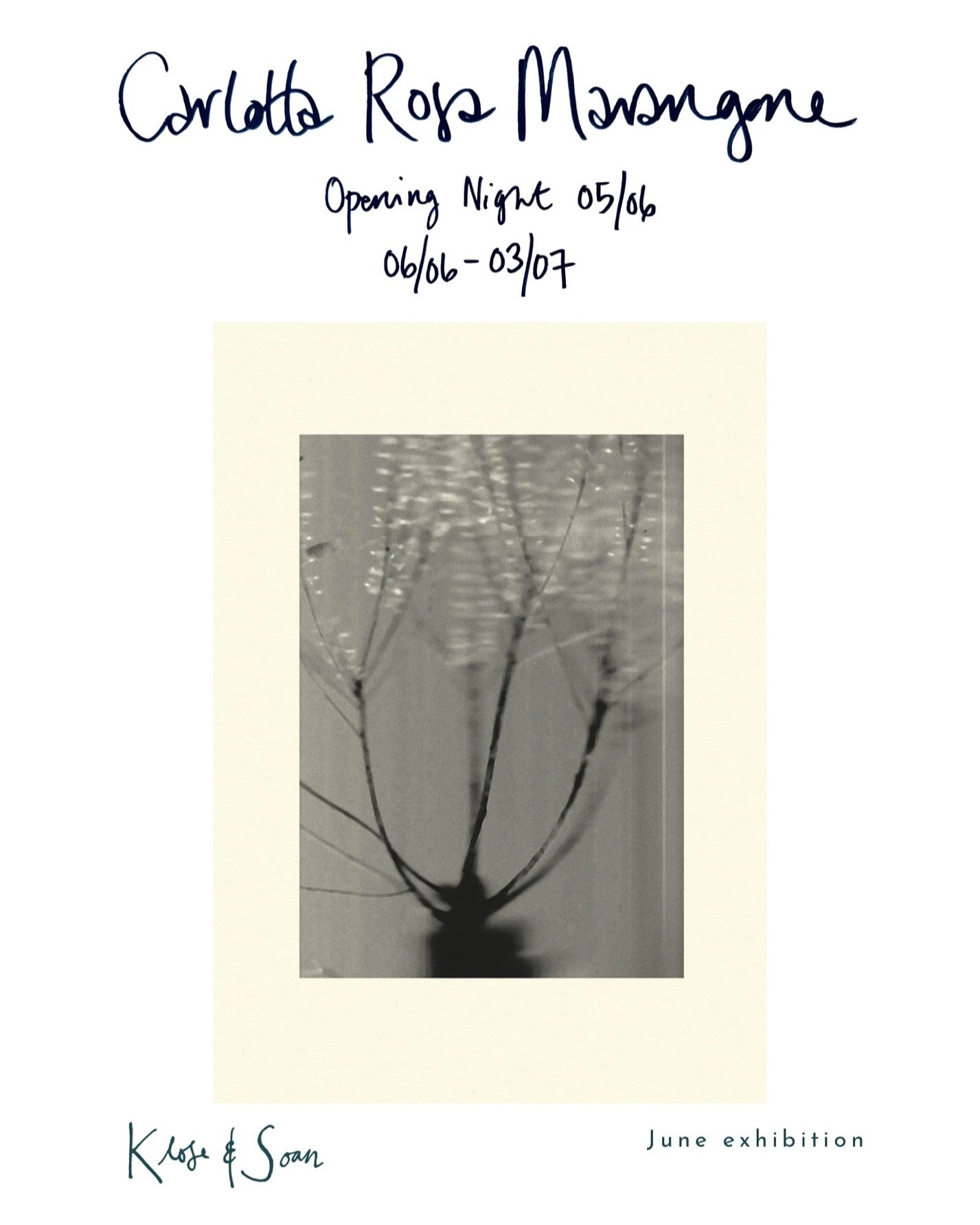 This June, we&rsquo;re hosting the beautiful, quietly radical work of @carlottamarangone &mdash; a South London artist and gardener whose cameraless prints turn roadside weeds and marshland flora into something quite extraordinary.

These are images 