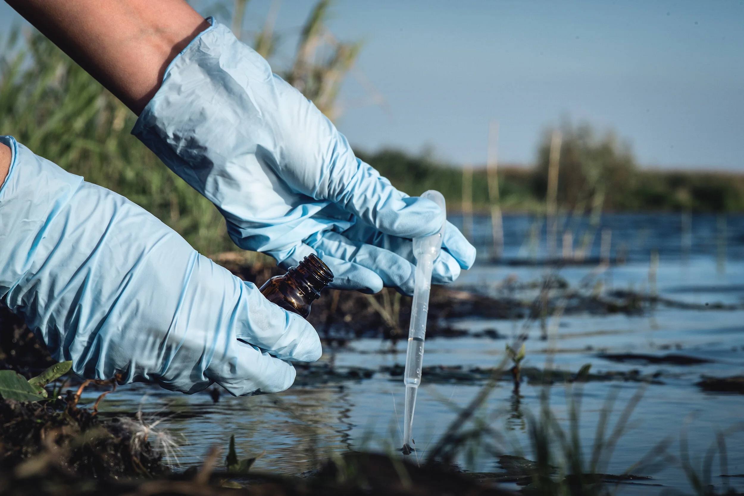 WHAT IS BIOREMEDIATION? — VELOWORLD WHAT IS BIOREMEDIATION? — VELOWORLD