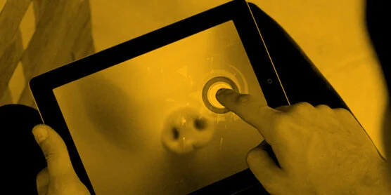 PLAYING WITH PIGS: PIG CHASE