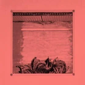 PERSONAL FOOD COMPUTER