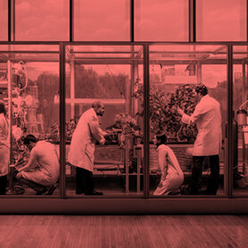 PHOTO OF OPENAG INITIATIVE AT MIT