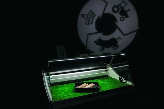 Black Market Pudding