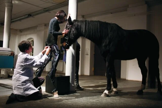 May the Horse Live in Me !