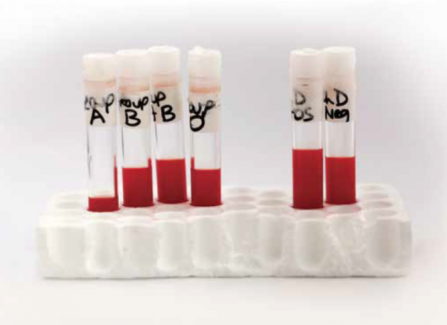 OpenWindow — Remote Presence