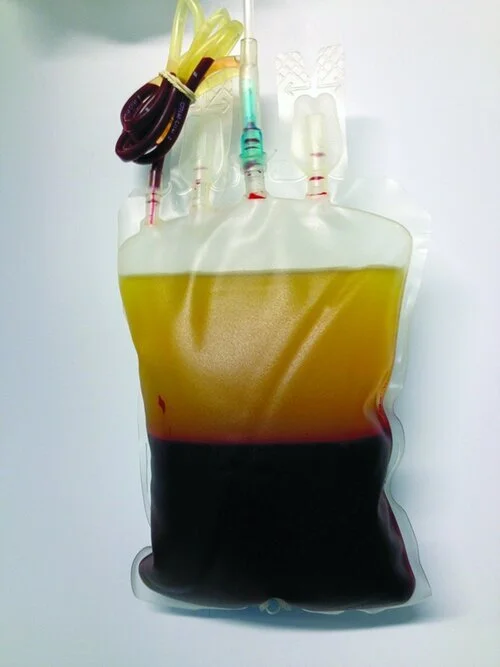 blood-science-gallery-dublin