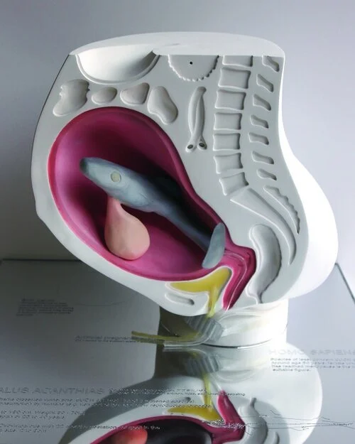 I WANNA DELIVER A DOLPHIN…