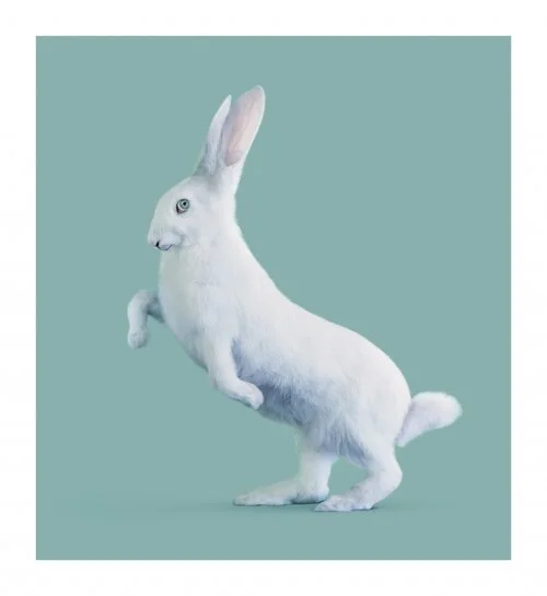 POST NATURAL HISTORY