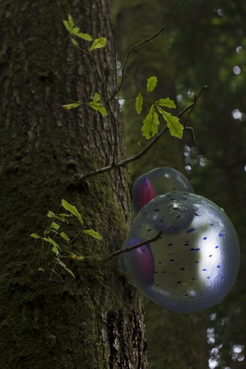 DESIGNING FOR THE SIXTH EXTINCTION