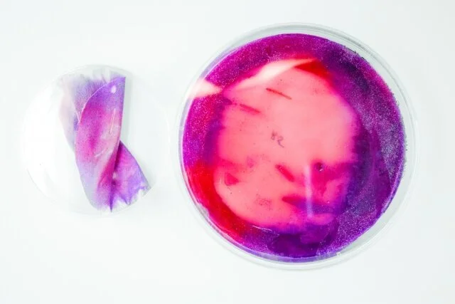 FABER FUTURES: THE RHIZOSPHERE PIGMENT LAB