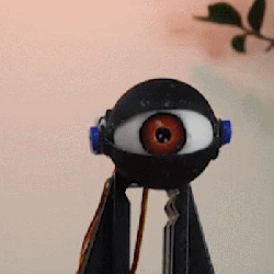 Eye Mechanism