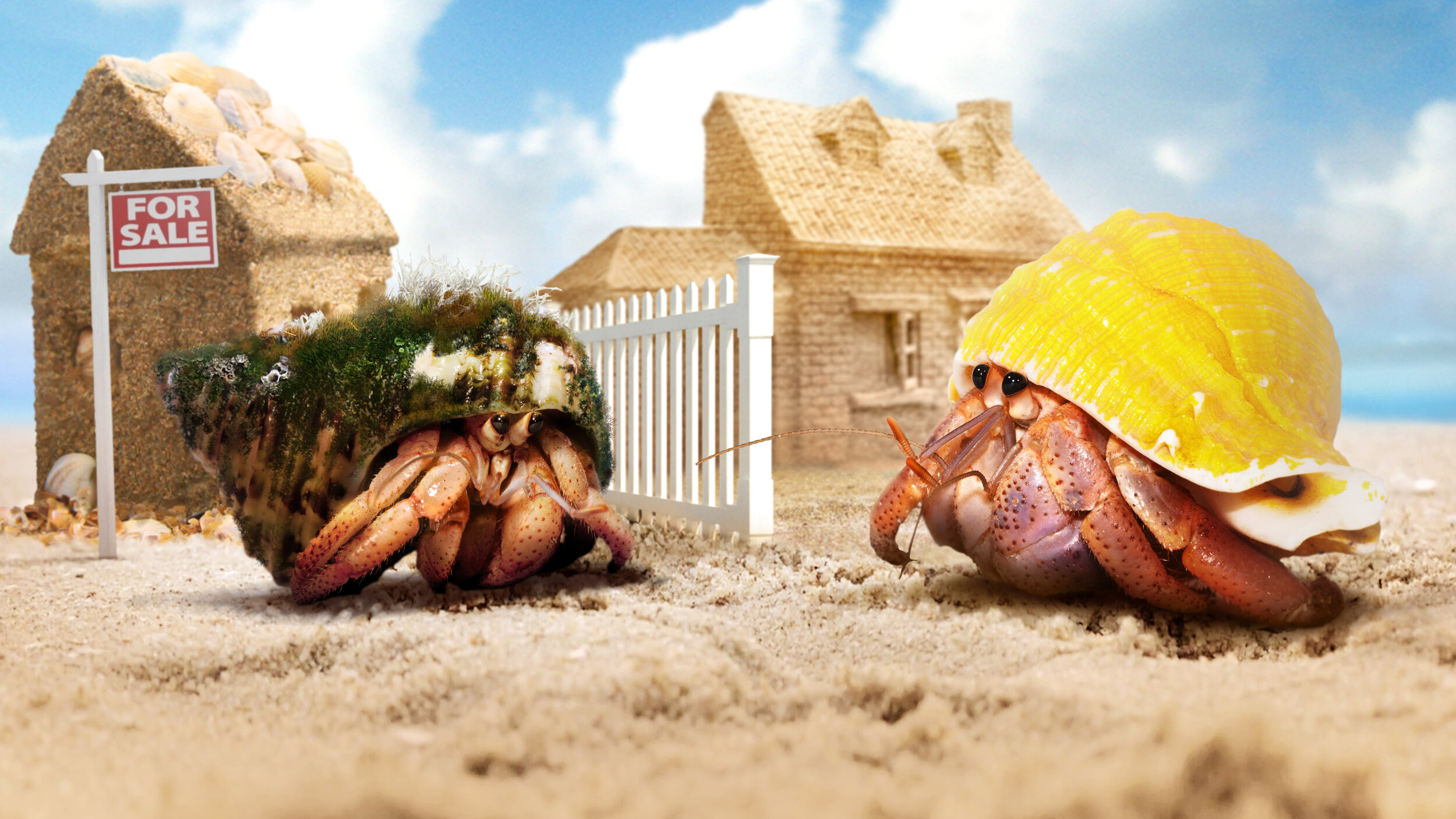 Zoopla TV advert - Crab World 