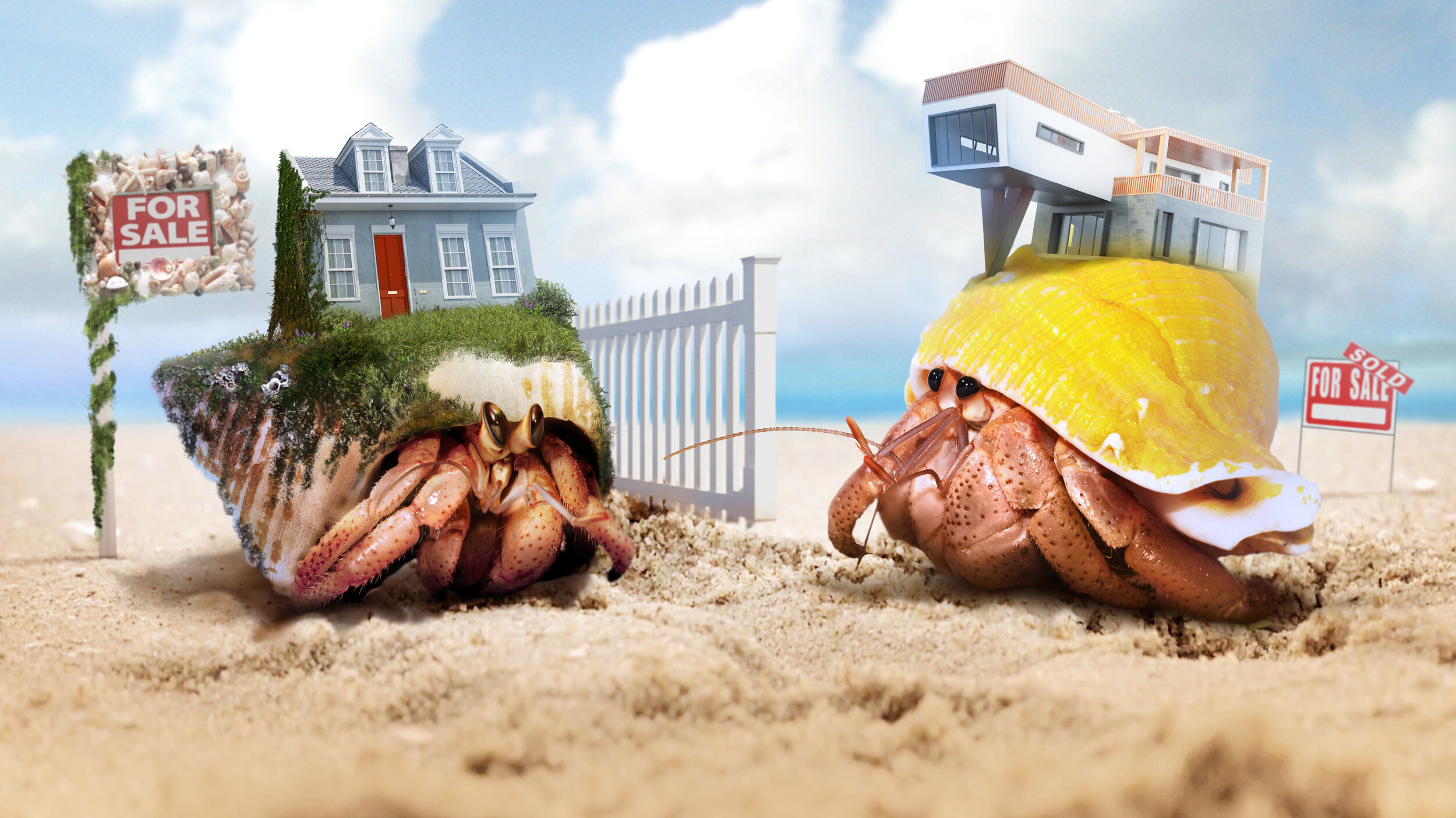 Zoopla TV advert - Crab World 