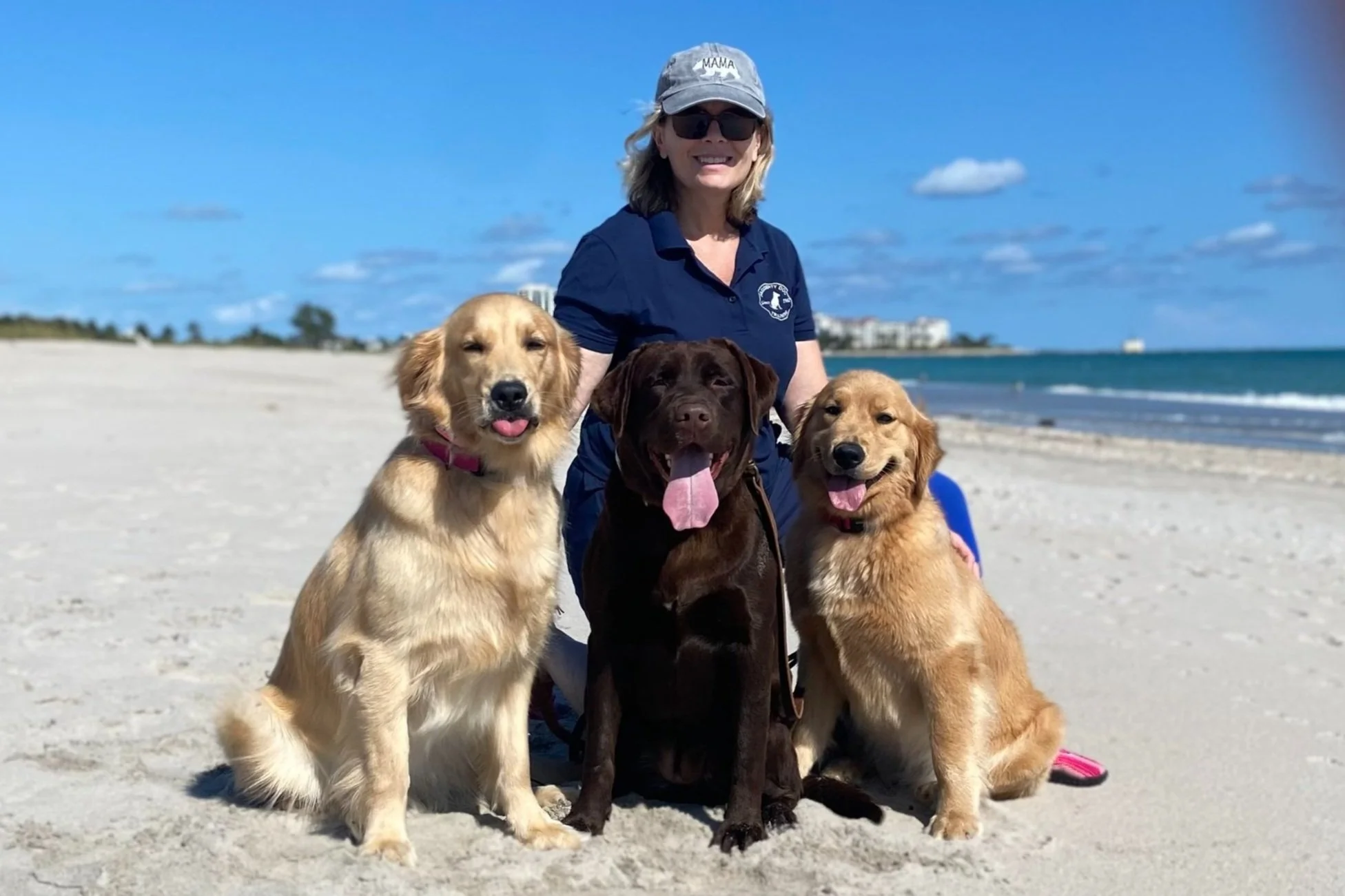 Dog Training Wellington Florida (FL)