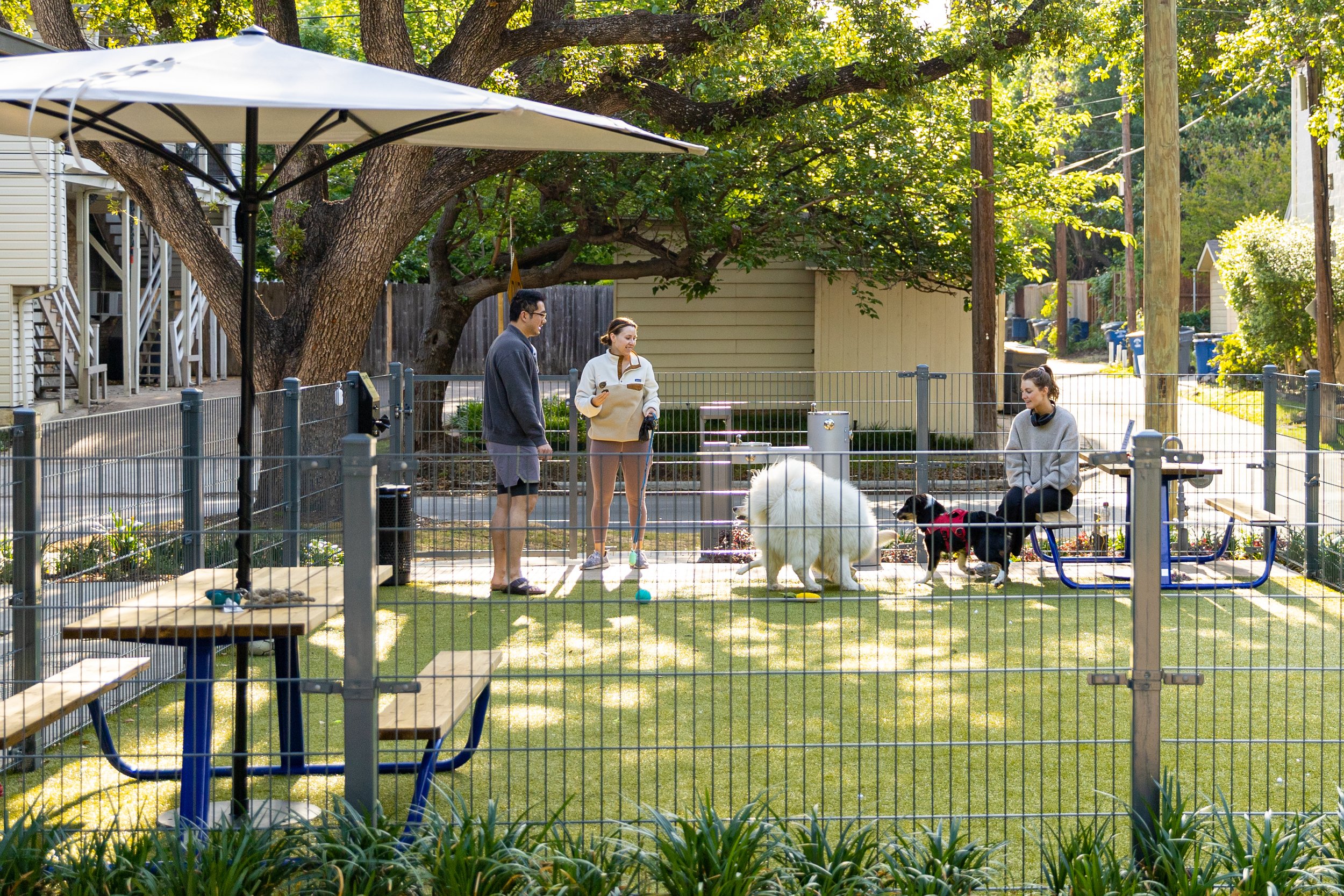 Dog Park 03 crop.jpg