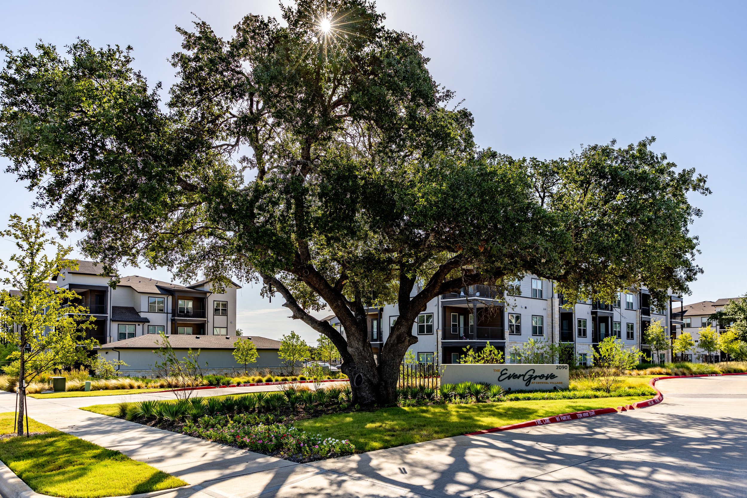 The Evergrove-2.jpg