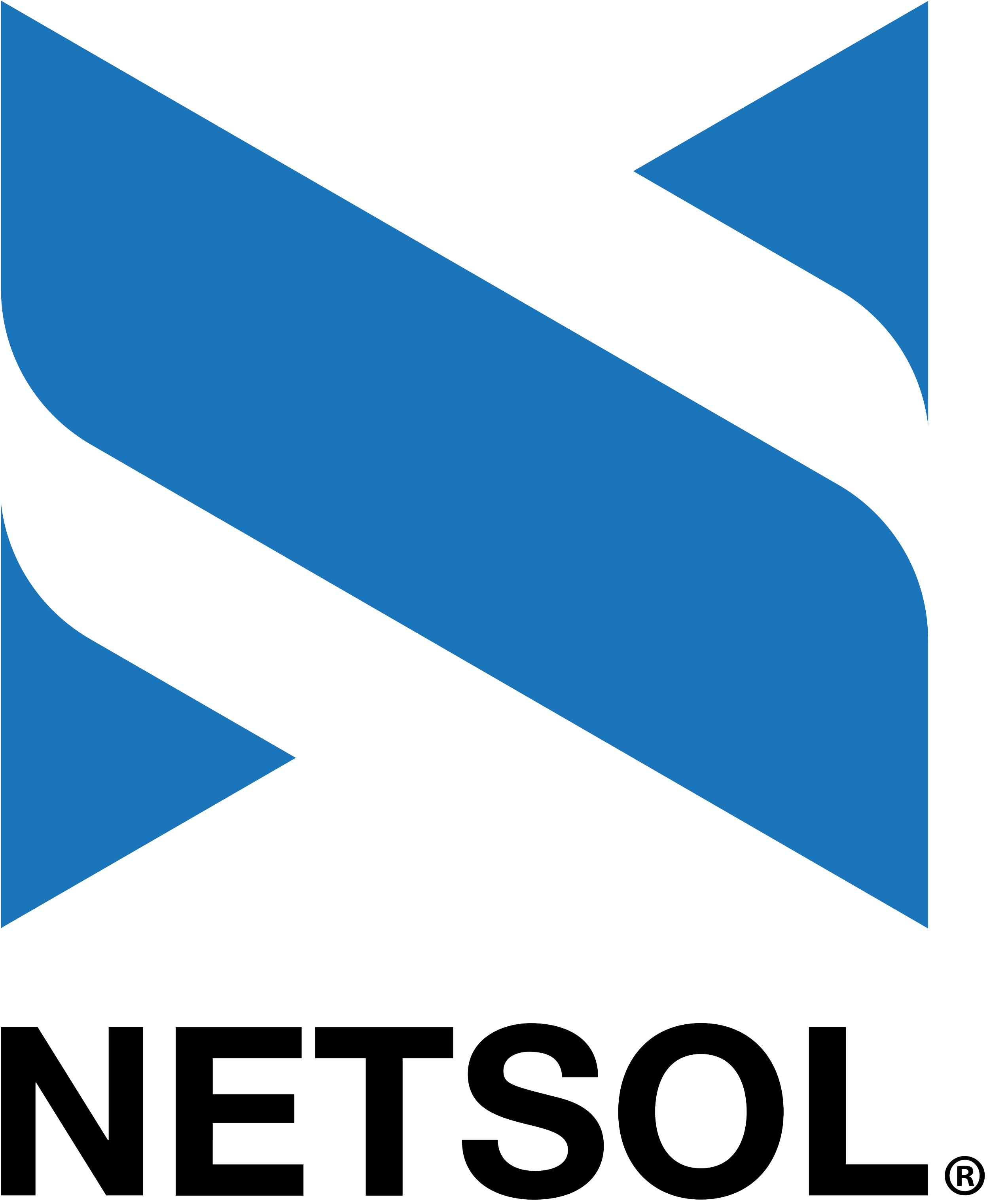 Netsol Logo.png