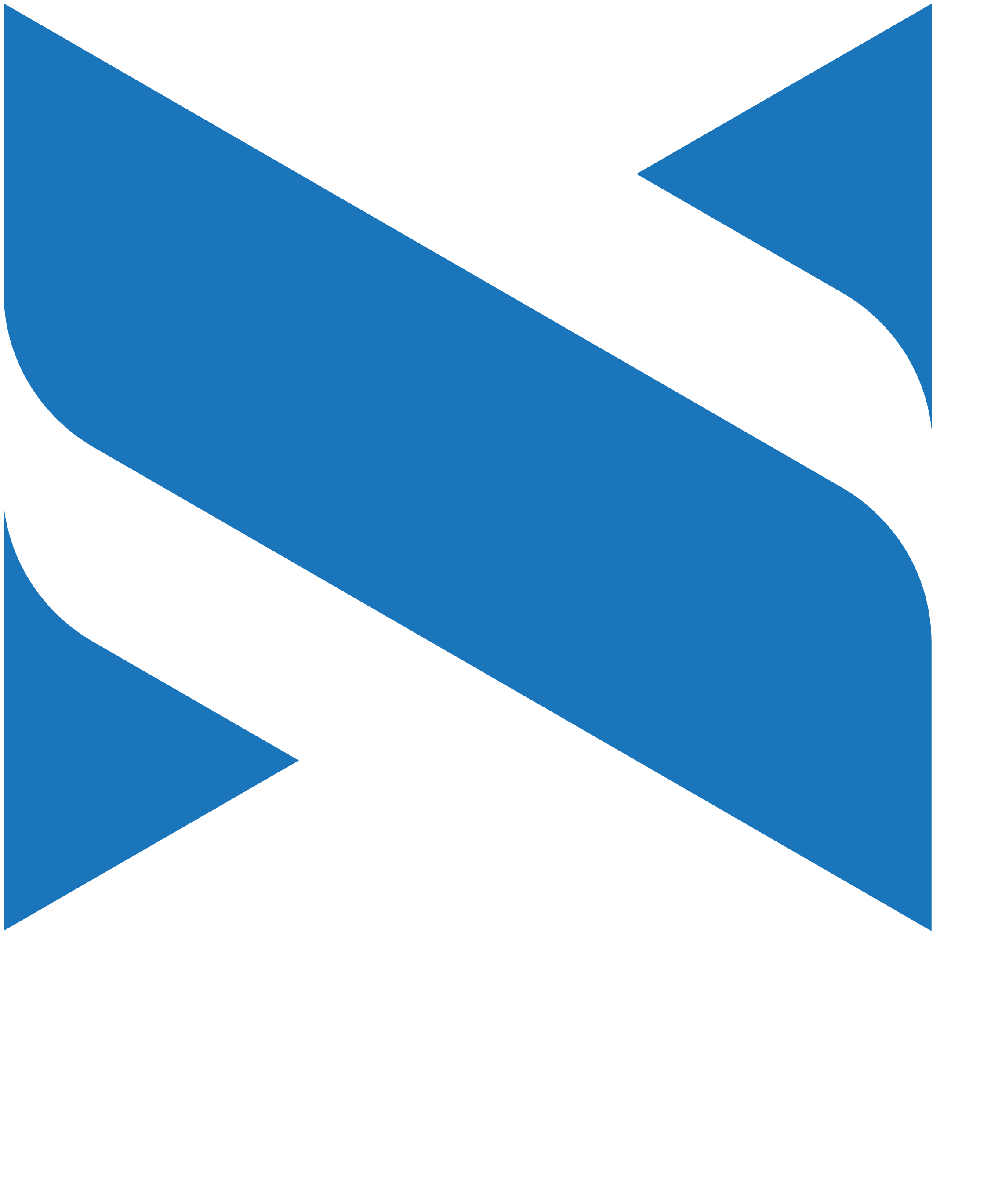 Netsol logo-1.png