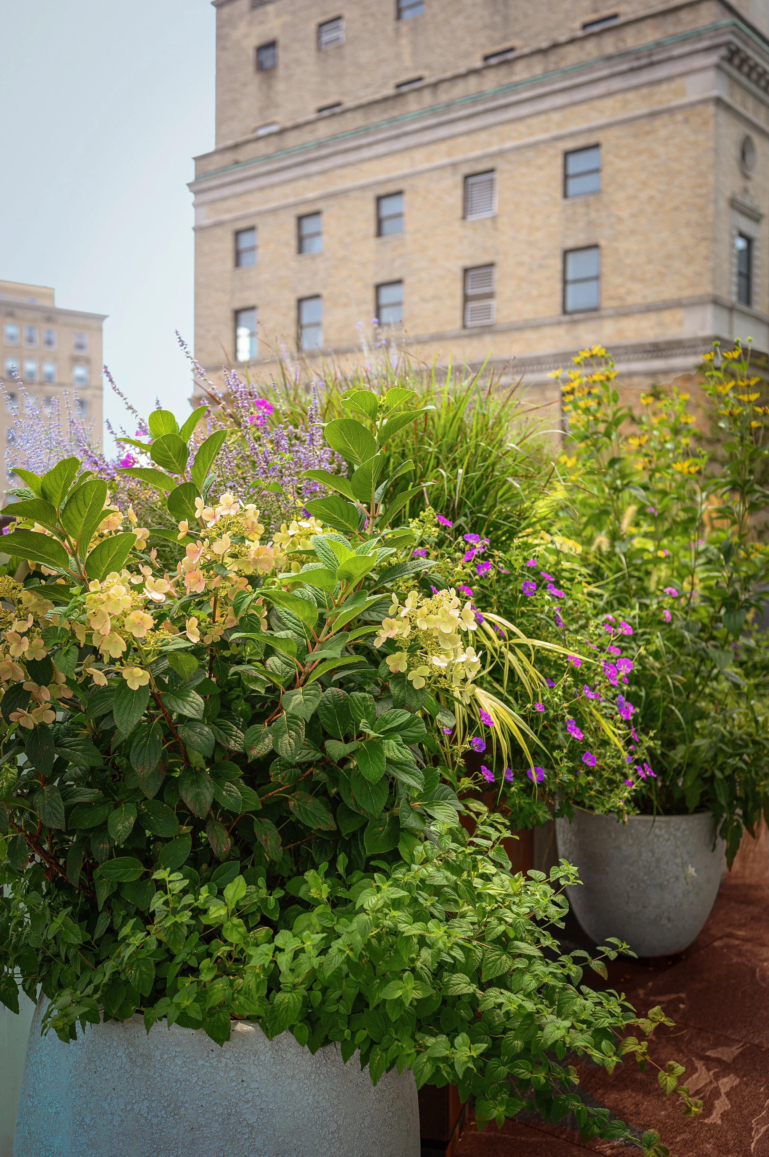 Park-Avenue_Rooftop-Garden_12.jpg