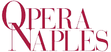 Opera-Naples.png