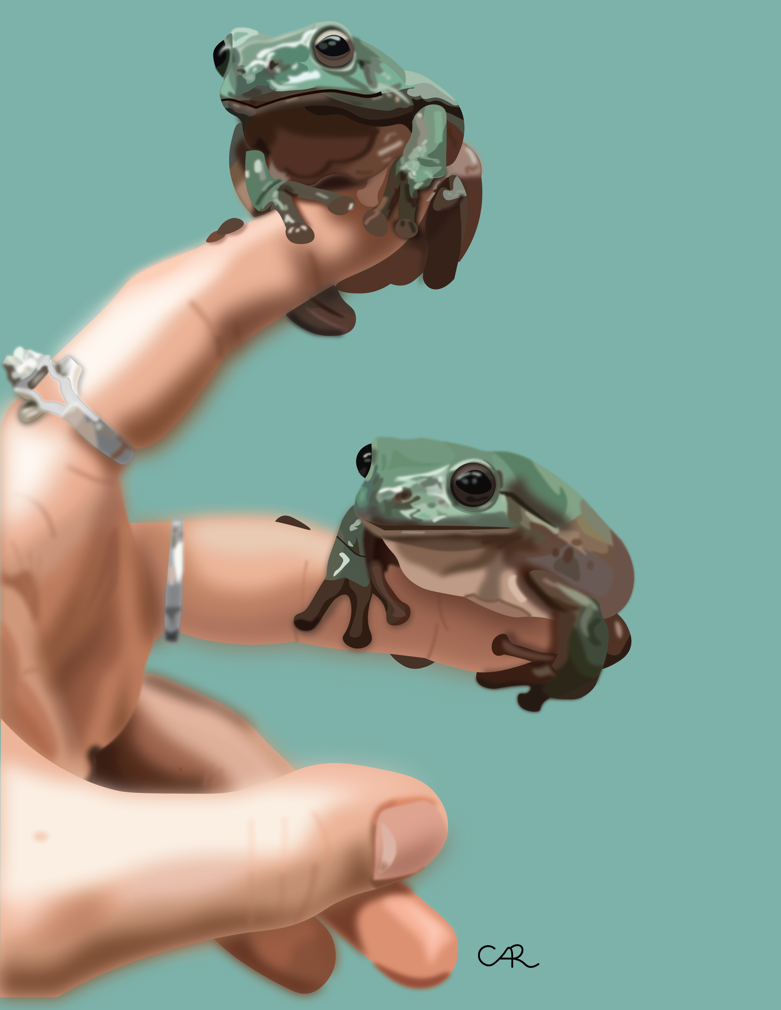 2frogs-01.png