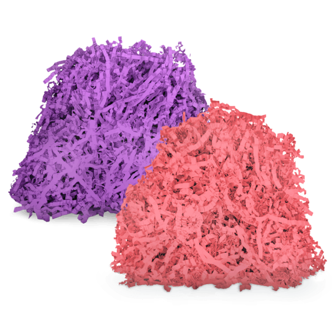 Pink & Purple Web.png