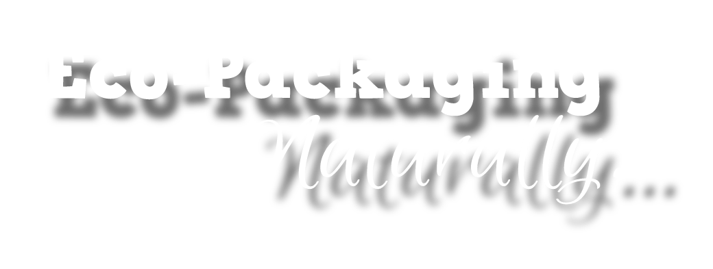 Eco chic - Environmentally friendly - Sustainable retail - Recycled materials