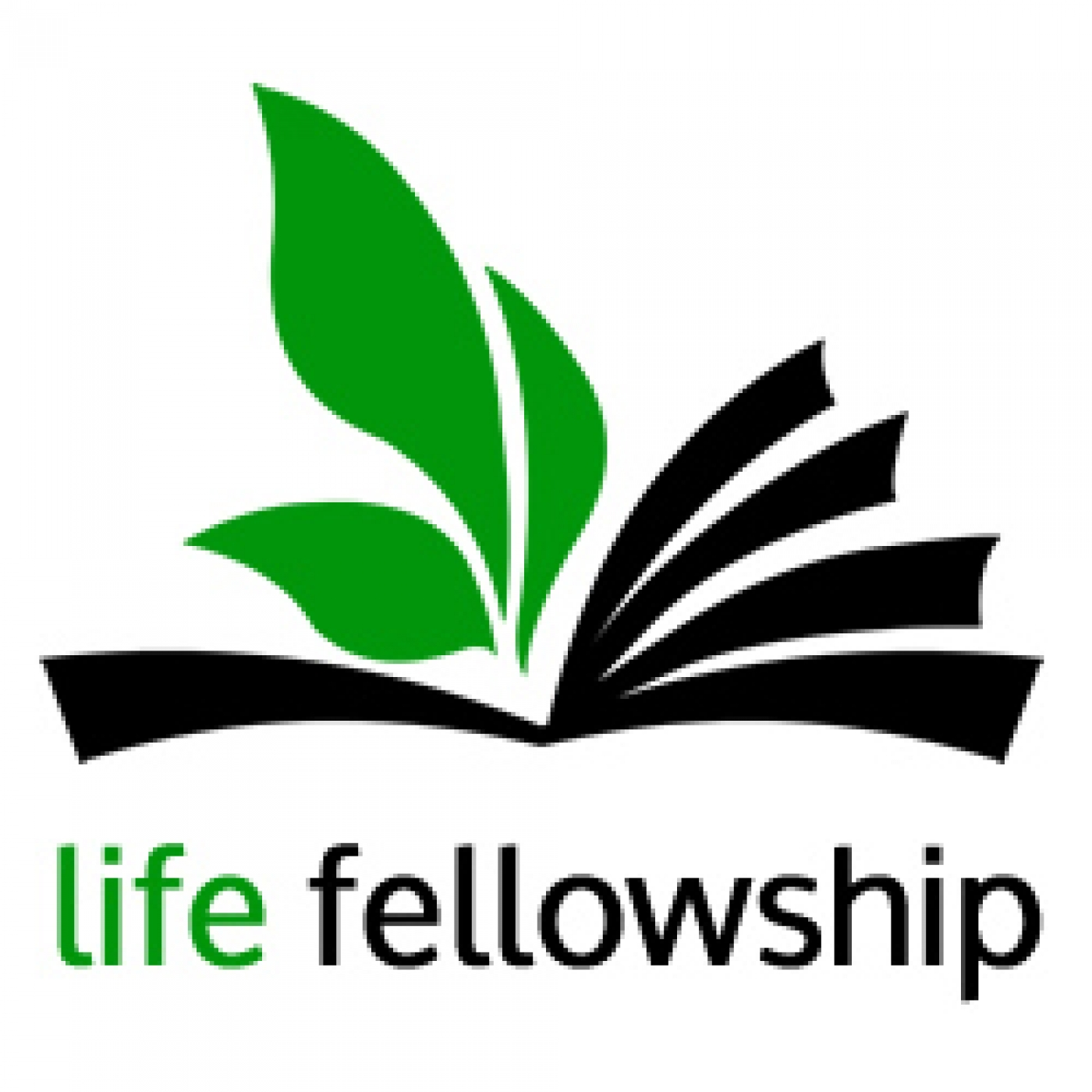 Life Fellowship Sermons