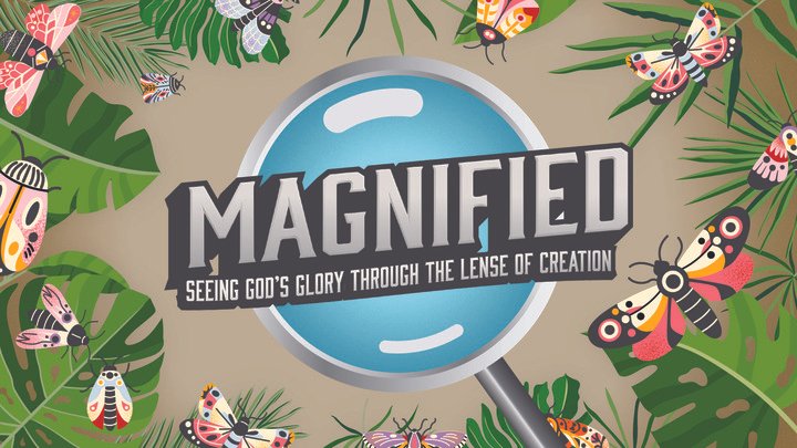 VBS at Living Faith Lee Summit