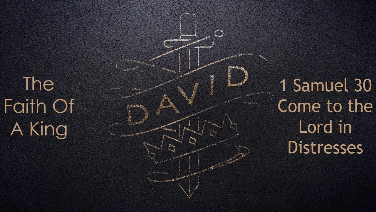 1 Samuel 30: Leading in Distresses