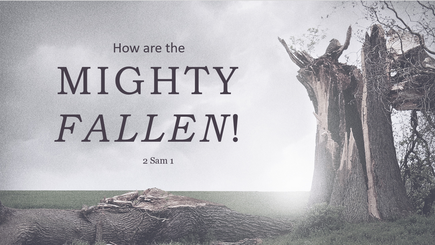 2 Samuel 1: The Mighty Fallen