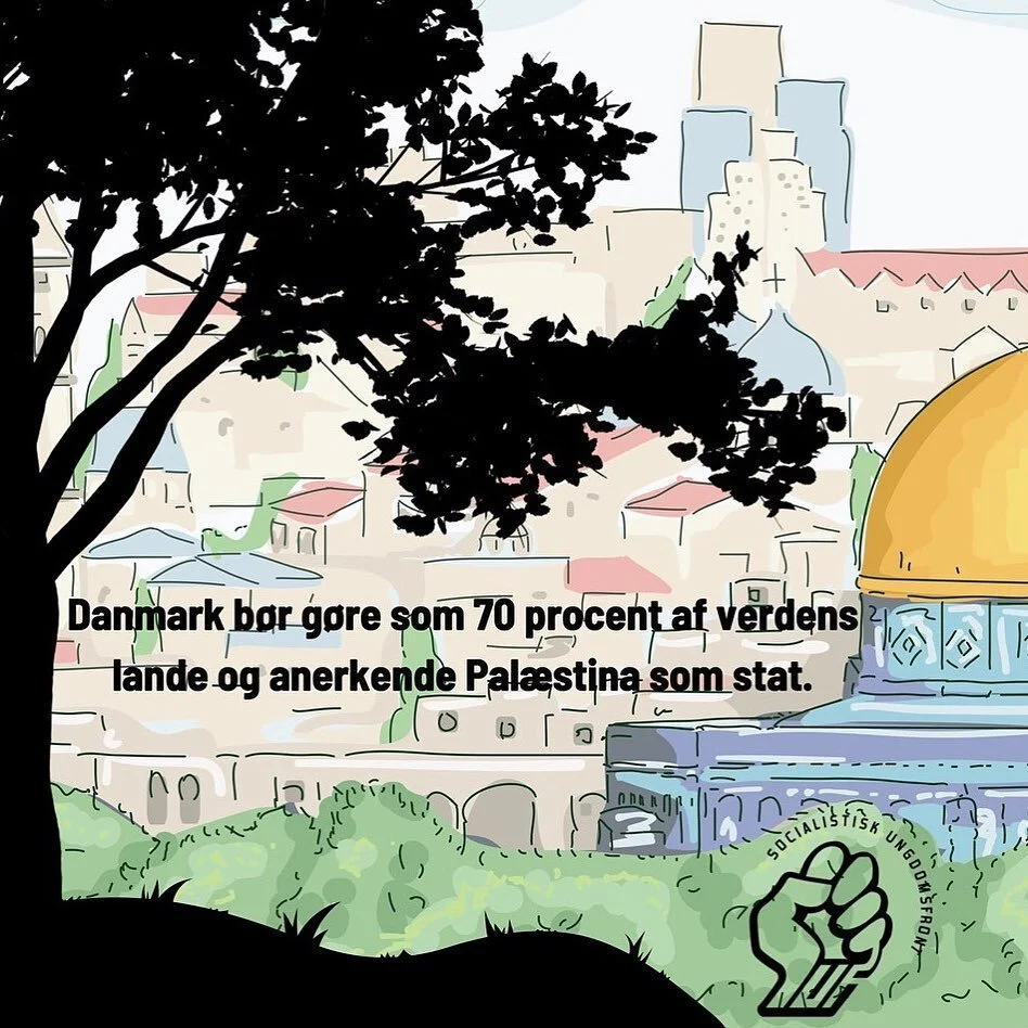 I SUF k&aelig;mper vi imod bes&aelig;ttelsen af Pal&aelig;stina, belejringen af Gaza, undertrykkelsen og fordrivelsen af pal&aelig;stinensere. Vi k&aelig;mper for den pal&aelig;stinensiske sag og kr&aelig;ver handling fra den danske regering over for