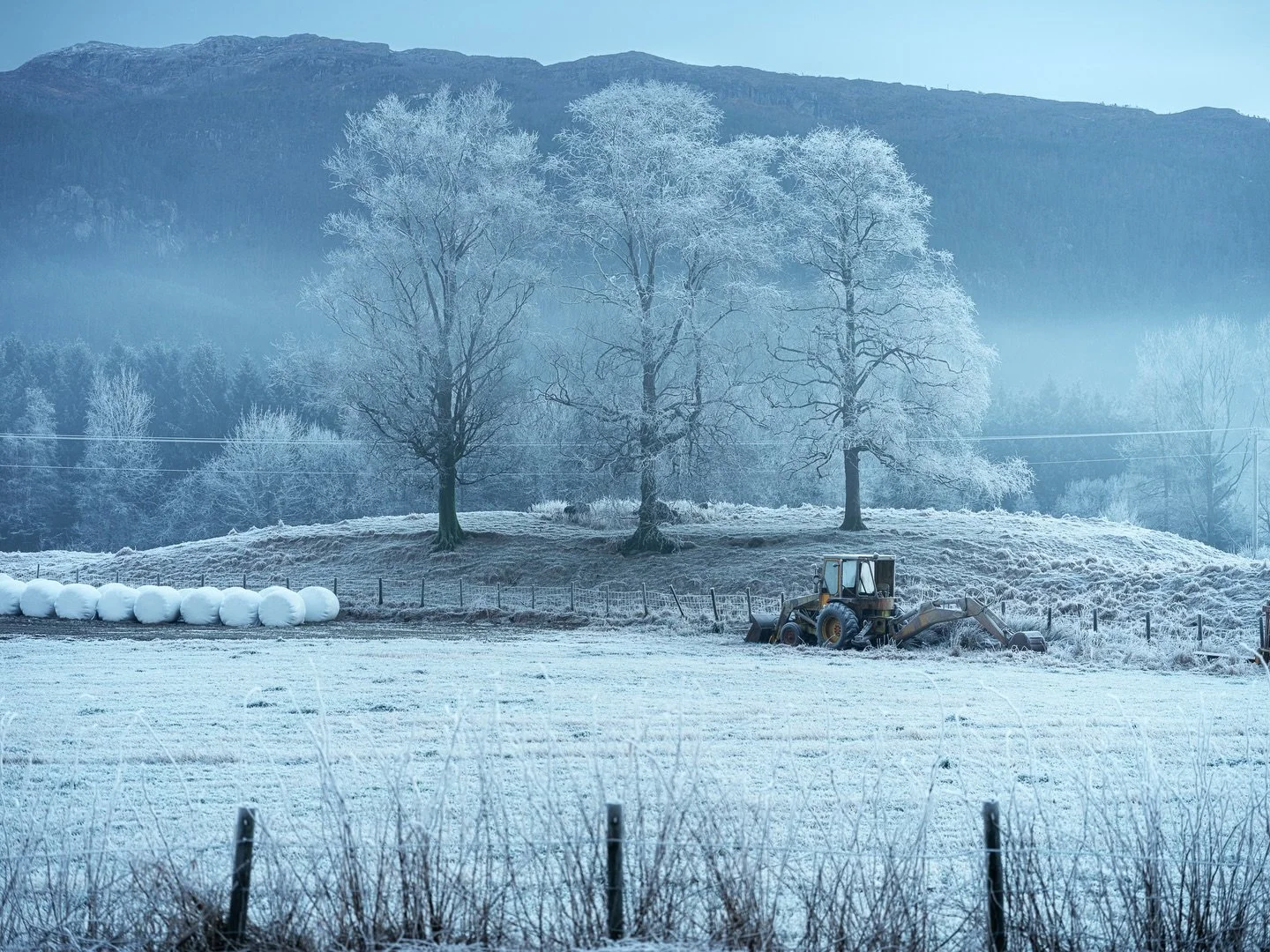Driving home from Christmas ❄️ Testing out the @hasselblad X2D 💫 Just look at the details!!