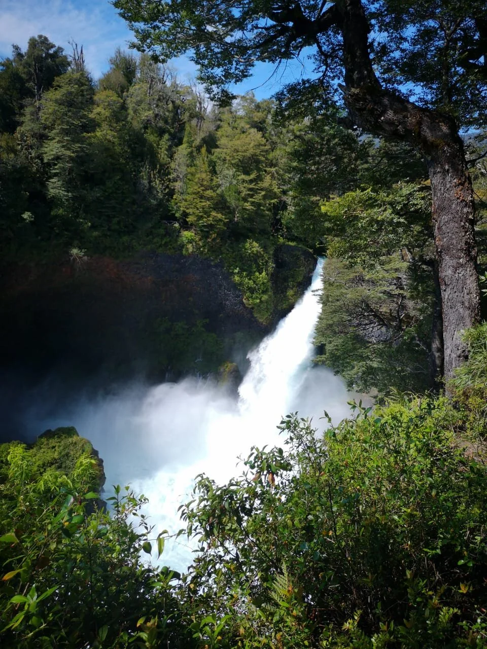 WhatsApp Image 2019-11-22 at 17.25.58.jpeg