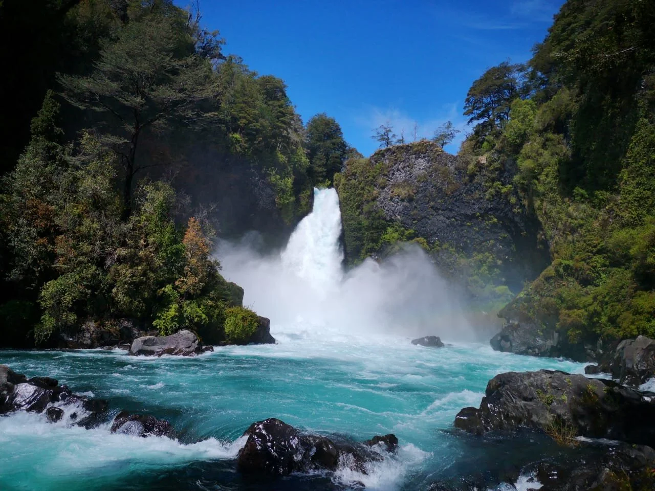 WhatsApp Image 2019-11-22 at 17.26.01.jpeg