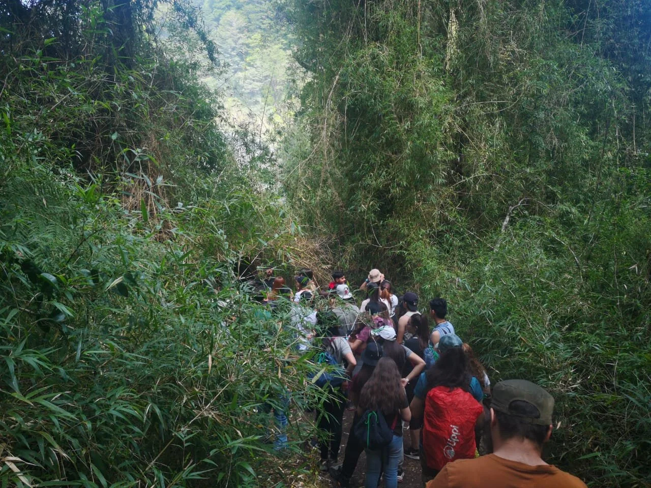 WhatsApp Image 2019-11-22 at 17.55.42.jpeg