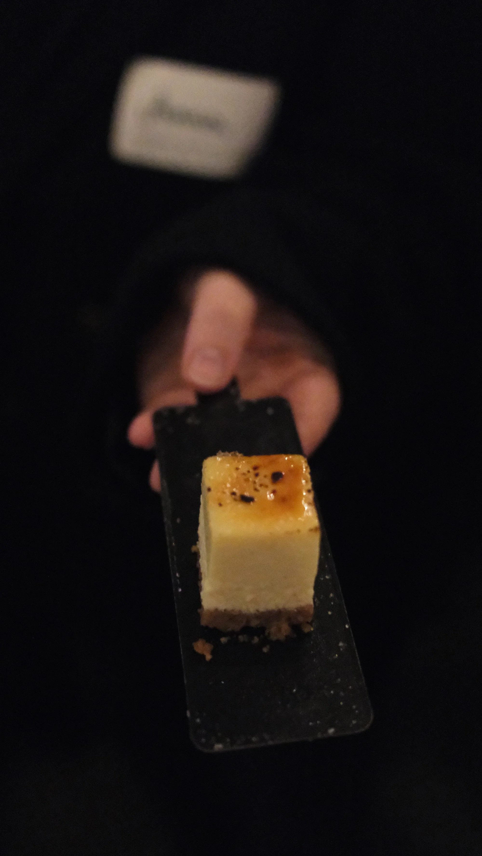 lea zapf x oh tinyville_vivis pov_22.jpeg