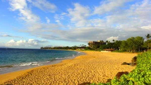 Day 6 Sat Dukes Haleakala Beach walk (165)