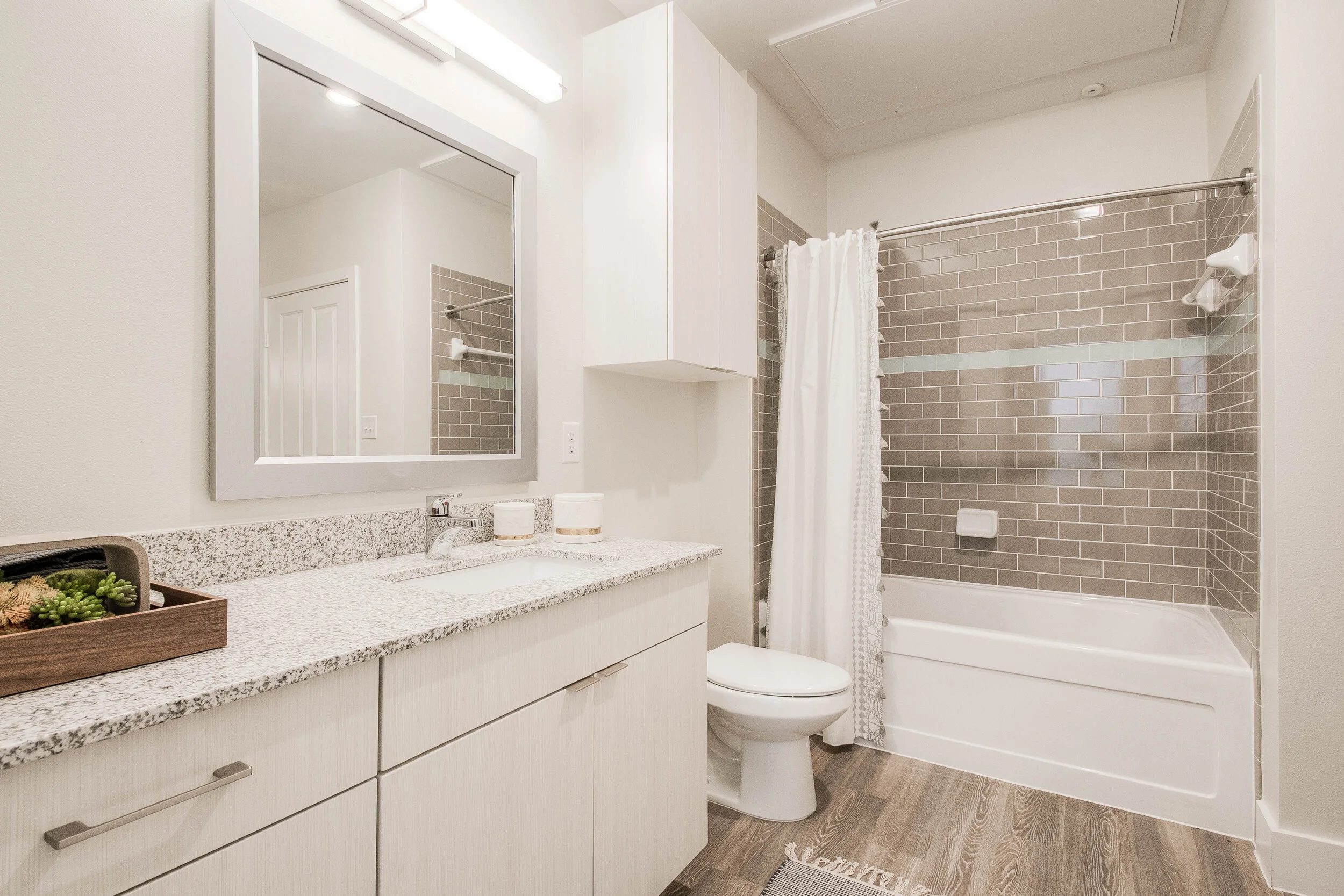 Arlington Commons- Arlington, TX - Bathroom.jpg
