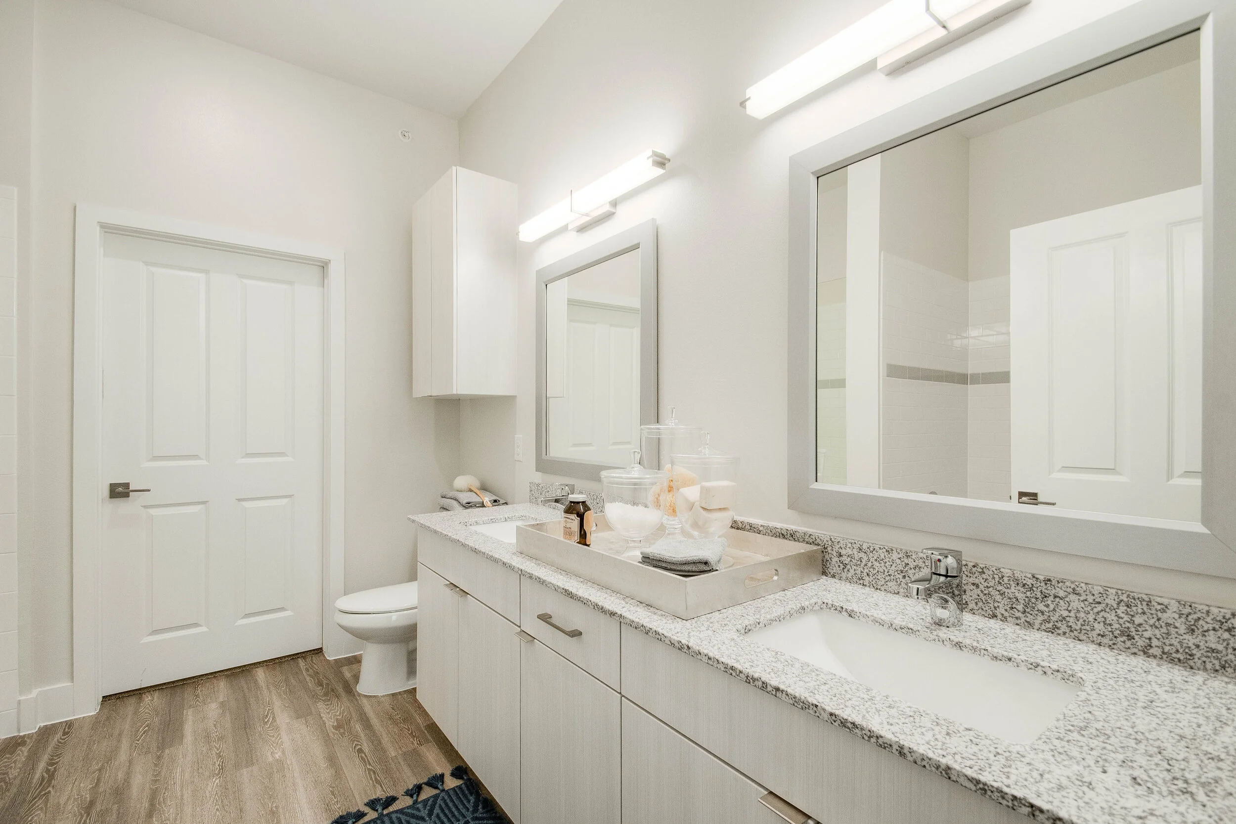 Arlington Commons- Arlington, TX - Bathroom - Details.jpg
