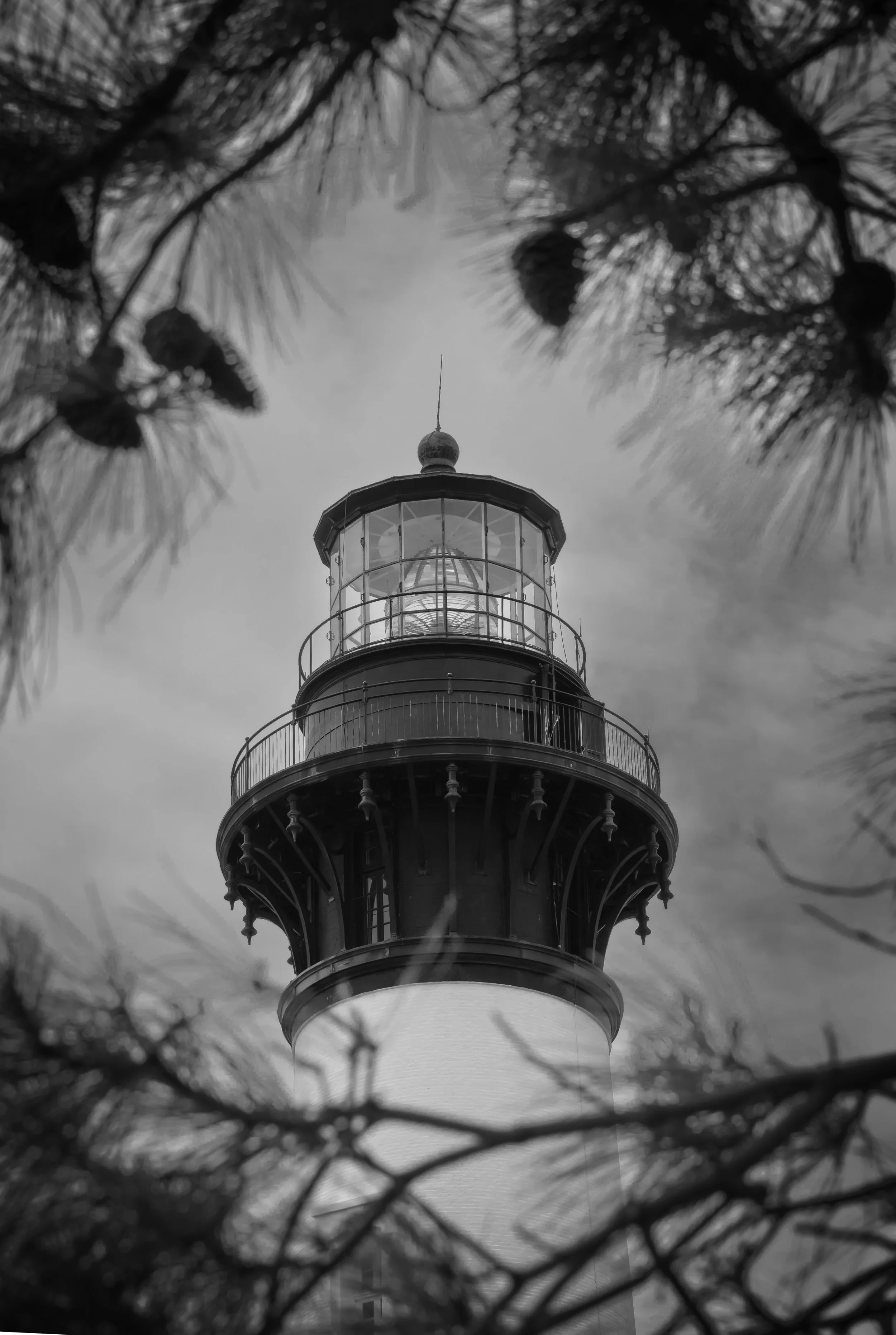 11-15May2023_PeaIsland_NagsHead_0088 copy.jpeg