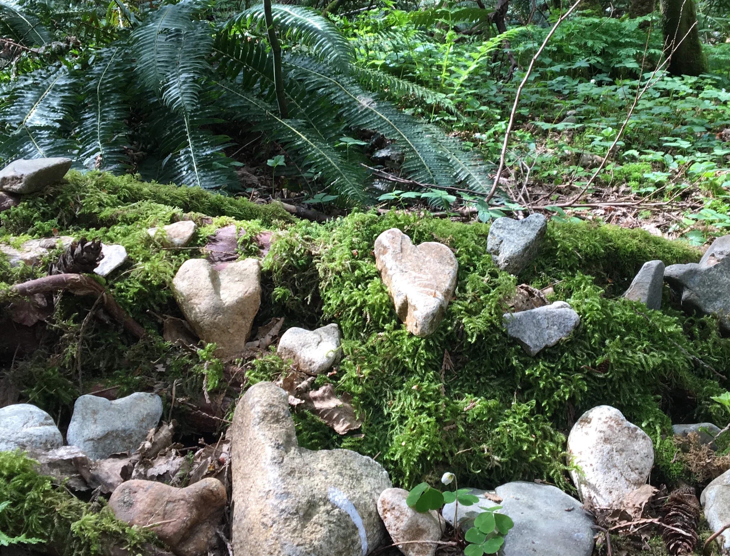 Five &amp; Two Gratitude List