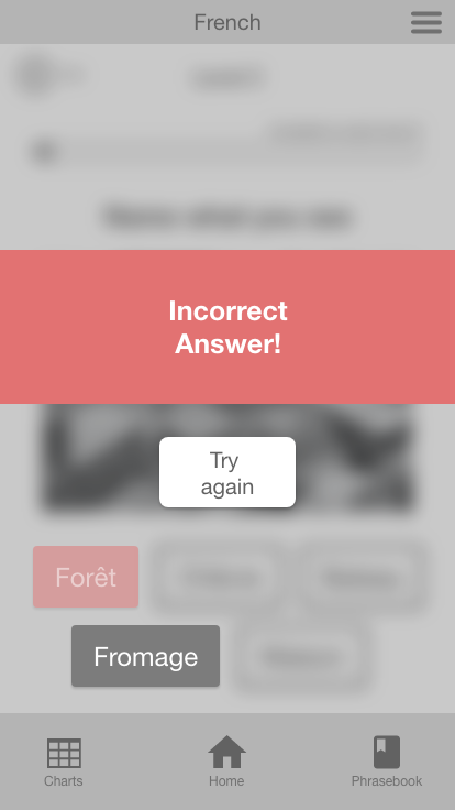 Incorrect answer is given