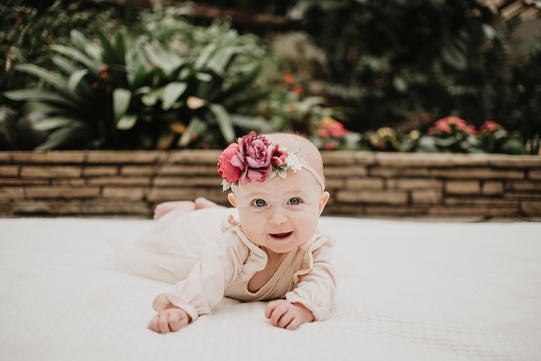 Back from maternity leave! Took Addison&rsquo;s 6 month photos last weekend and how cute is she! Such a smiley little girl! 💕