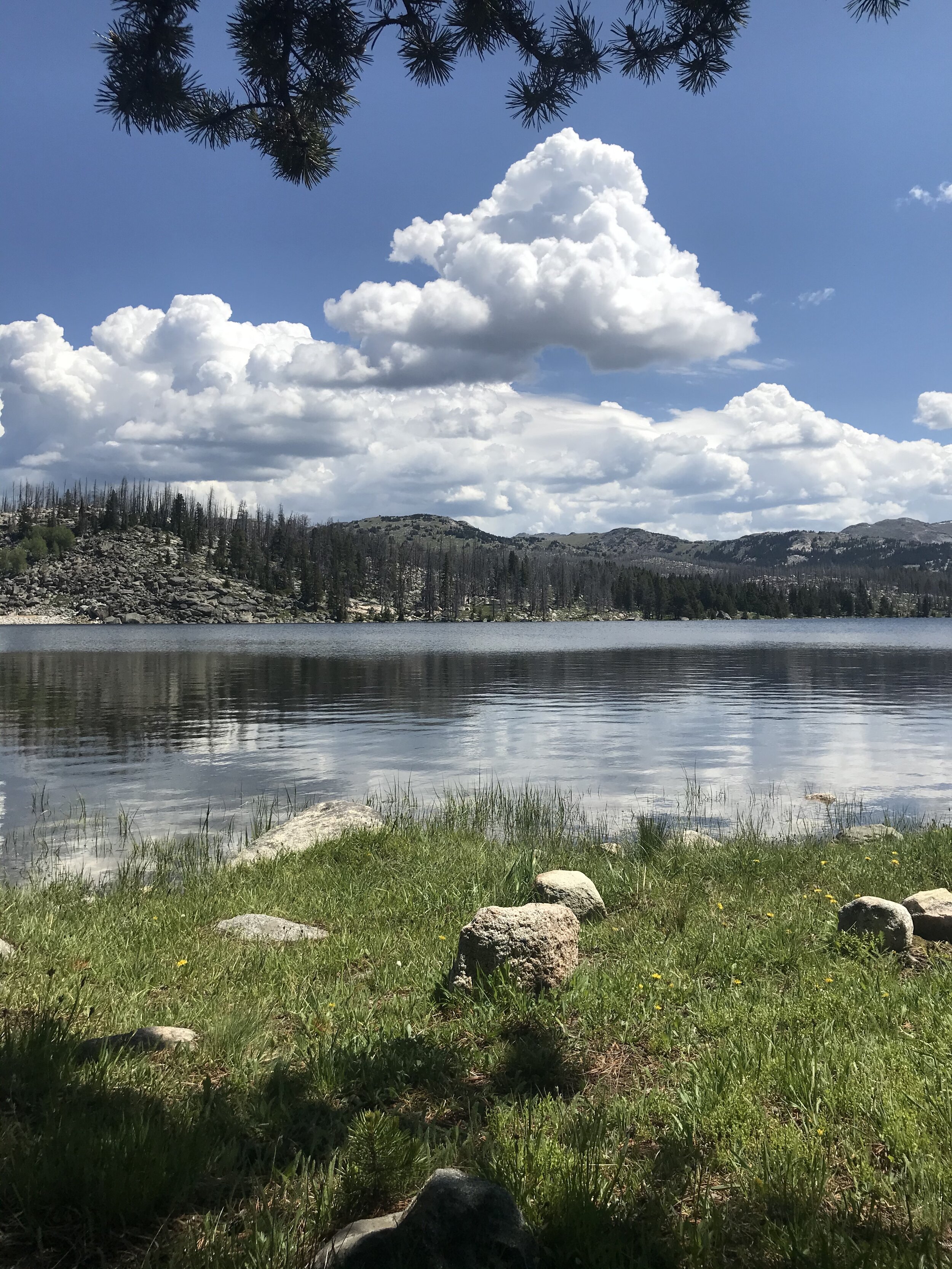 Cloud Peak Wilderness, Bighorn National Forest, photo by Kaitlin Whitman