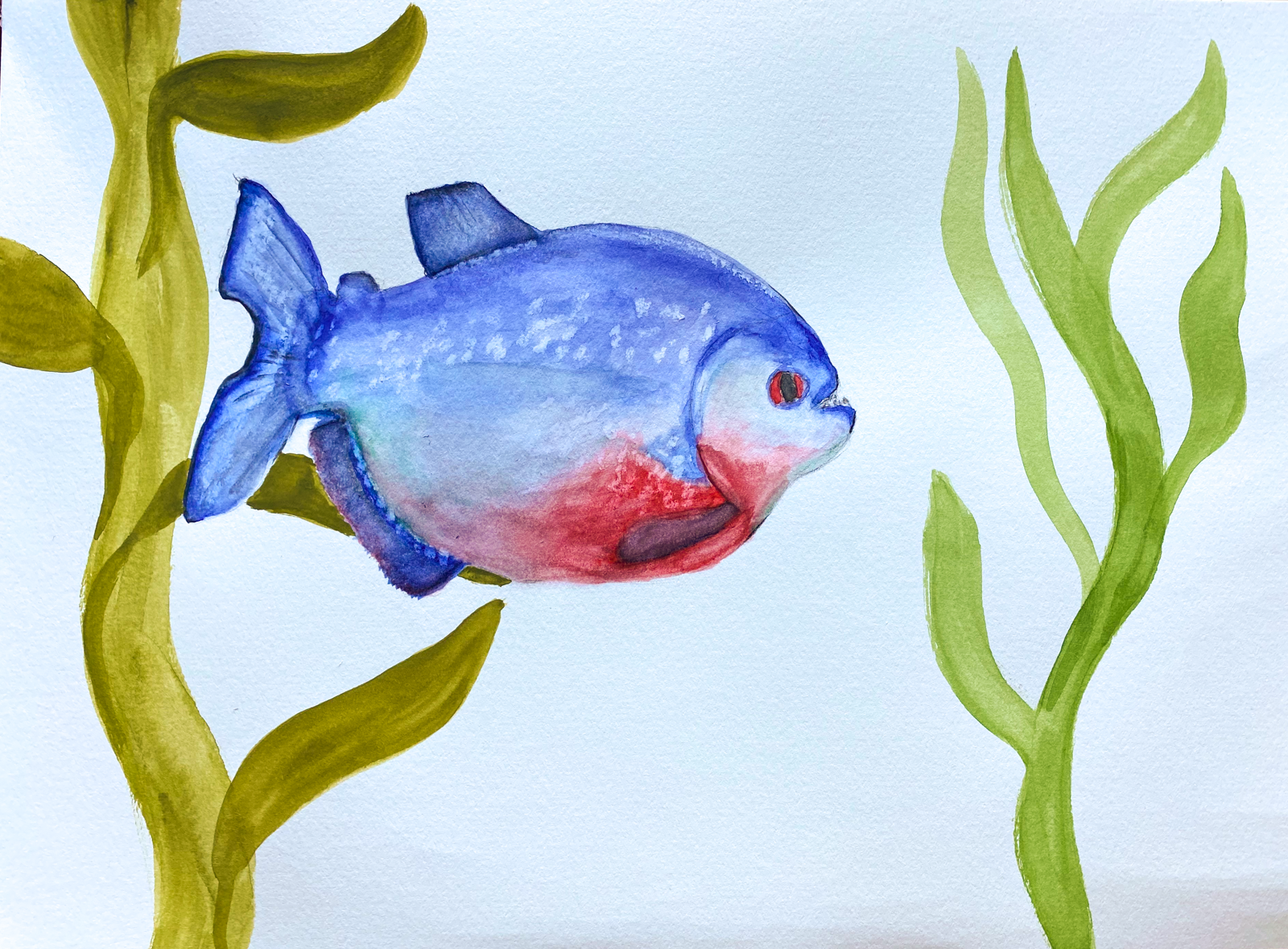 spotted piranhas-3.png
