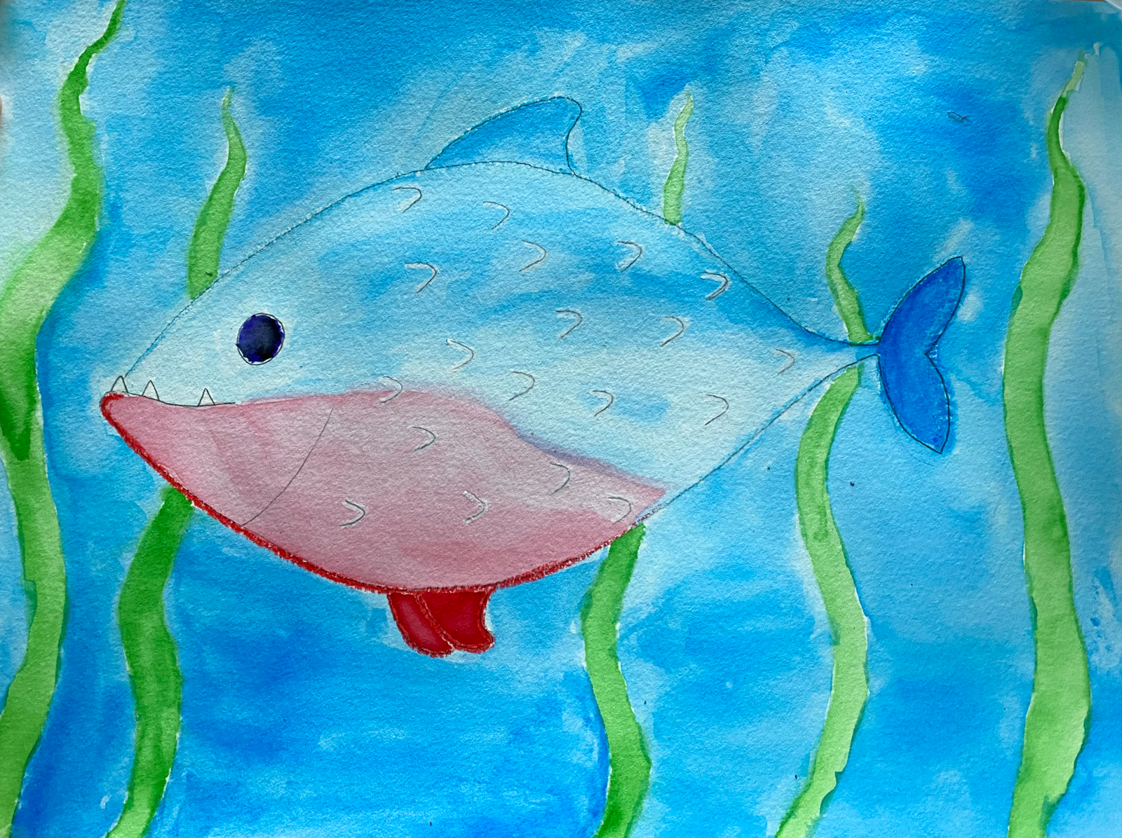 spotted piranhas-2.png