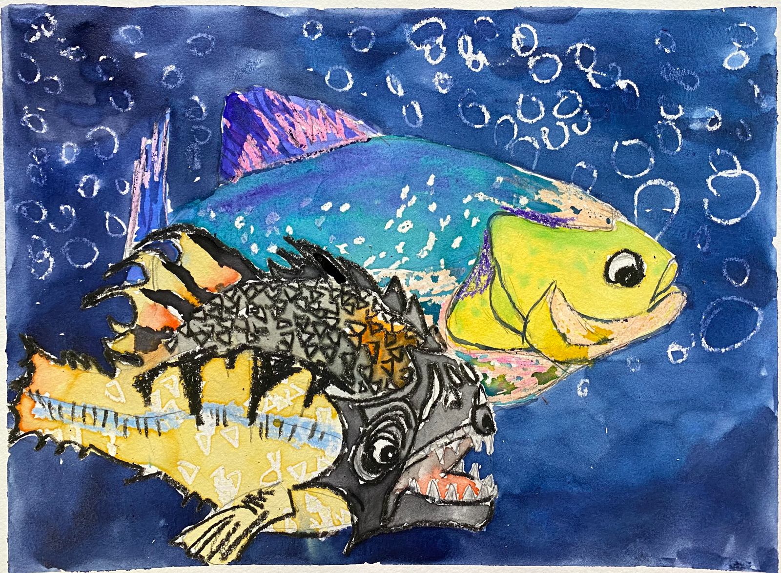 spotted piranhas-1.png