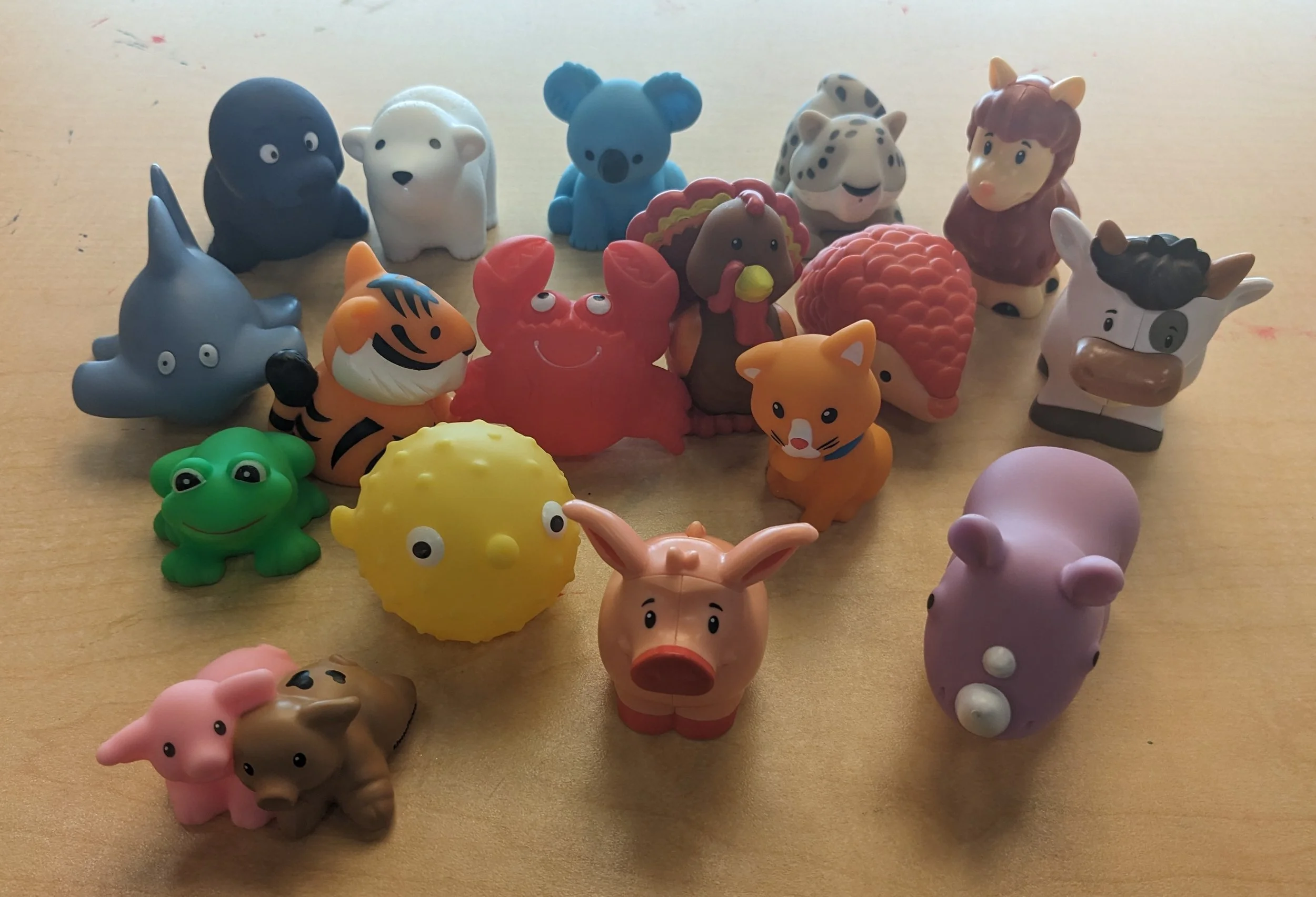 What Are the Animals For?